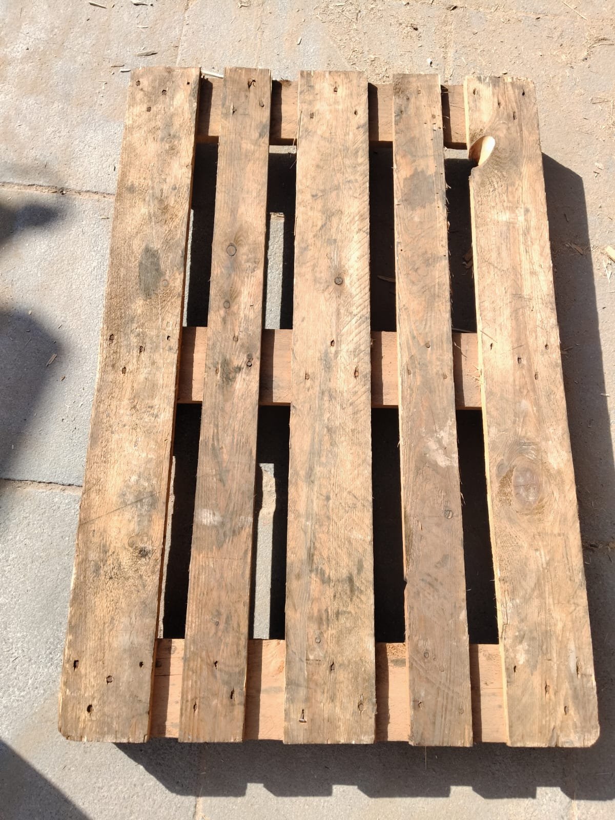 Euro Black Front Side